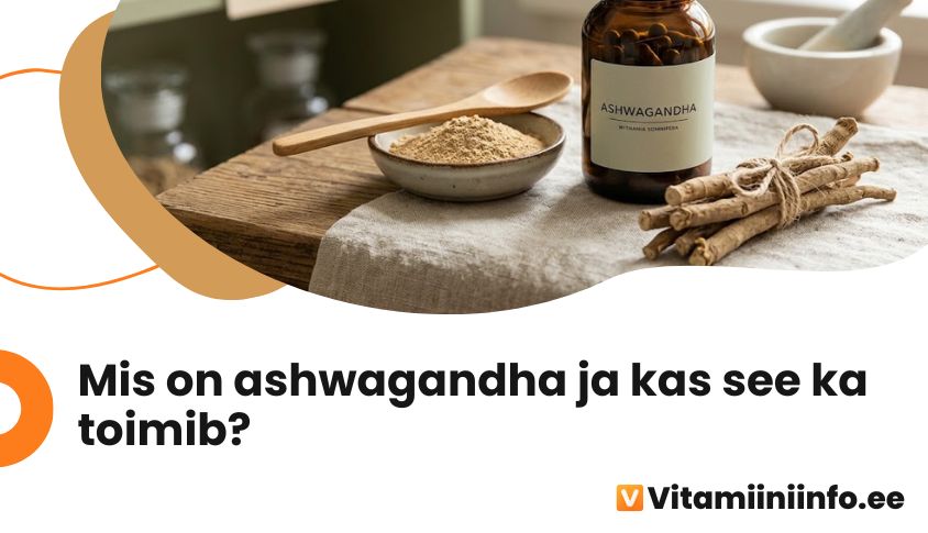 Ashwagandha juur ja juurepulber – Withania somnifera taim toidulisandina