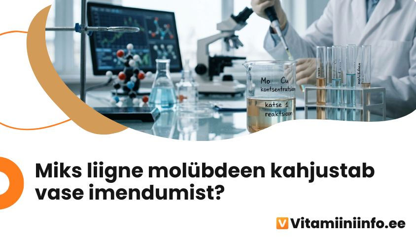 Molübdeen ja vask – koostoime ja imendumise mehhanism